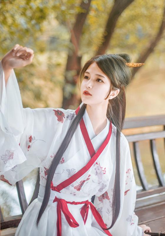 Elegant Hanfu Dress Ancient Chinese Costume Chinese Style Embroidery Tang Dynasty Traditional Nation Dance Princess Dress
