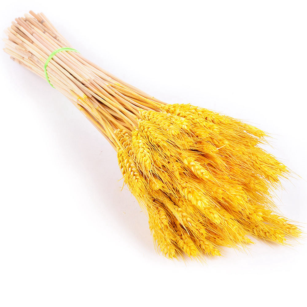 100Pcs/lot Real Wheat Ear Flower Natural Dried Flowers for Wedding Party Decoration DIY Craft Scrapbook Home Decor Wheat Bouquet, Customize
100Pcs/lot Real Wheat Ear Flower Natural Dried Flowers for Wedding Party Decoration DIY Craft Scrapbook Home Decor Wheat Bouquet, Customize