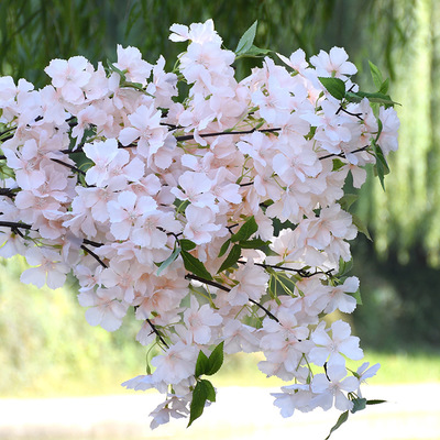 Artificial Cherry Blossom Branch 110 cm Wedding Decoration Fake Flower Sakura 4 Fork with Green Leaves Home Market Decor Fake Plant, Length about 110cm
Artificial Cherry Blossom Branch 110 cm Wedding Decoration Fake Flower Sakura 4 Fork with Green Leaves Home Market Decor Fake Plant, Length about 110cm