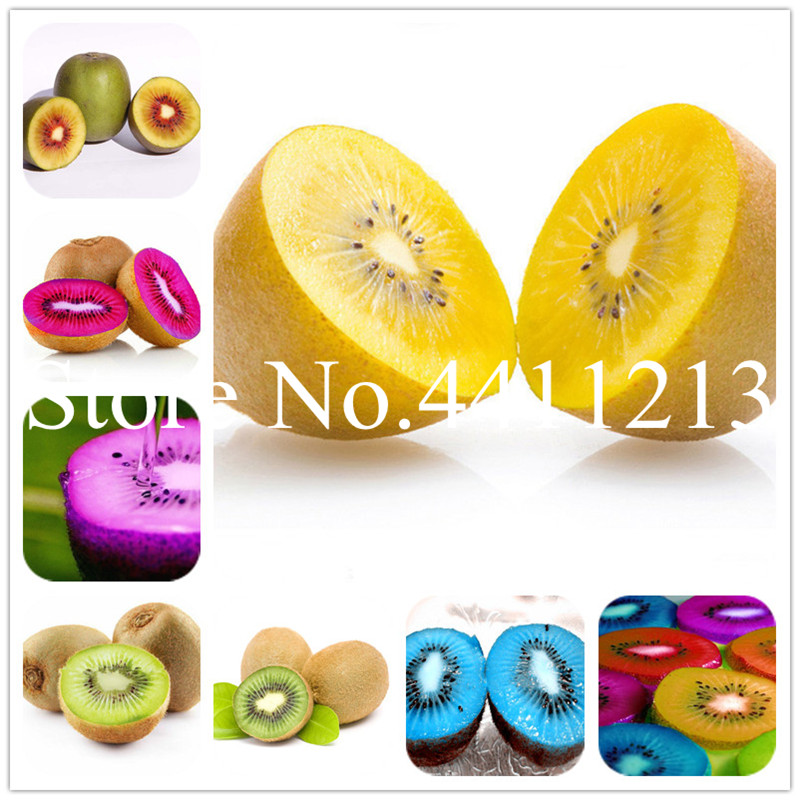 Bonsai plant seeds 200 pcs/bag Fruit ,four Kinds Kiwi,red Yellow Green Purple Nutrition Is Rich Tasty And Delicious,DIY Home Garden,Non-GMO
Bonsai plant seeds 200 pcs/bag Fruit ,four Kinds Kiwi,red Yellow Green Purple Nutrition Is Rich Tasty And Delicious,DIY Home Garden,Non-GMO