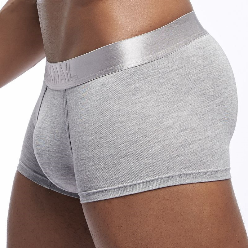Mens Underwear Boxers High Quality Modal Boxers Men Boxer Homme Boxershorts Men Male Panties, Black
Mens Underwear Boxers High Quality Modal Boxers Men Boxer Homme Boxershorts Men Male Panties, Black
