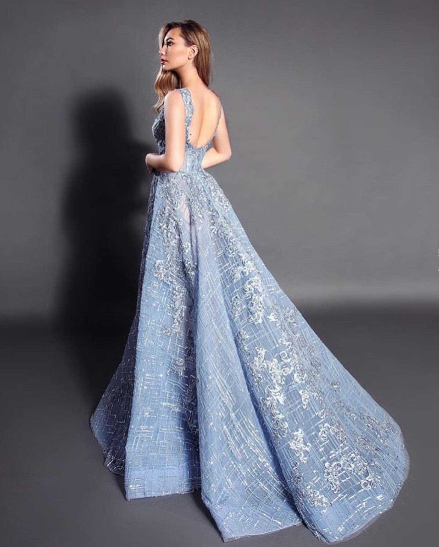 aso ebi arabic sexy lace beaded evening dresses deep vneck prom dresses backless formal party second reception gowns zj236