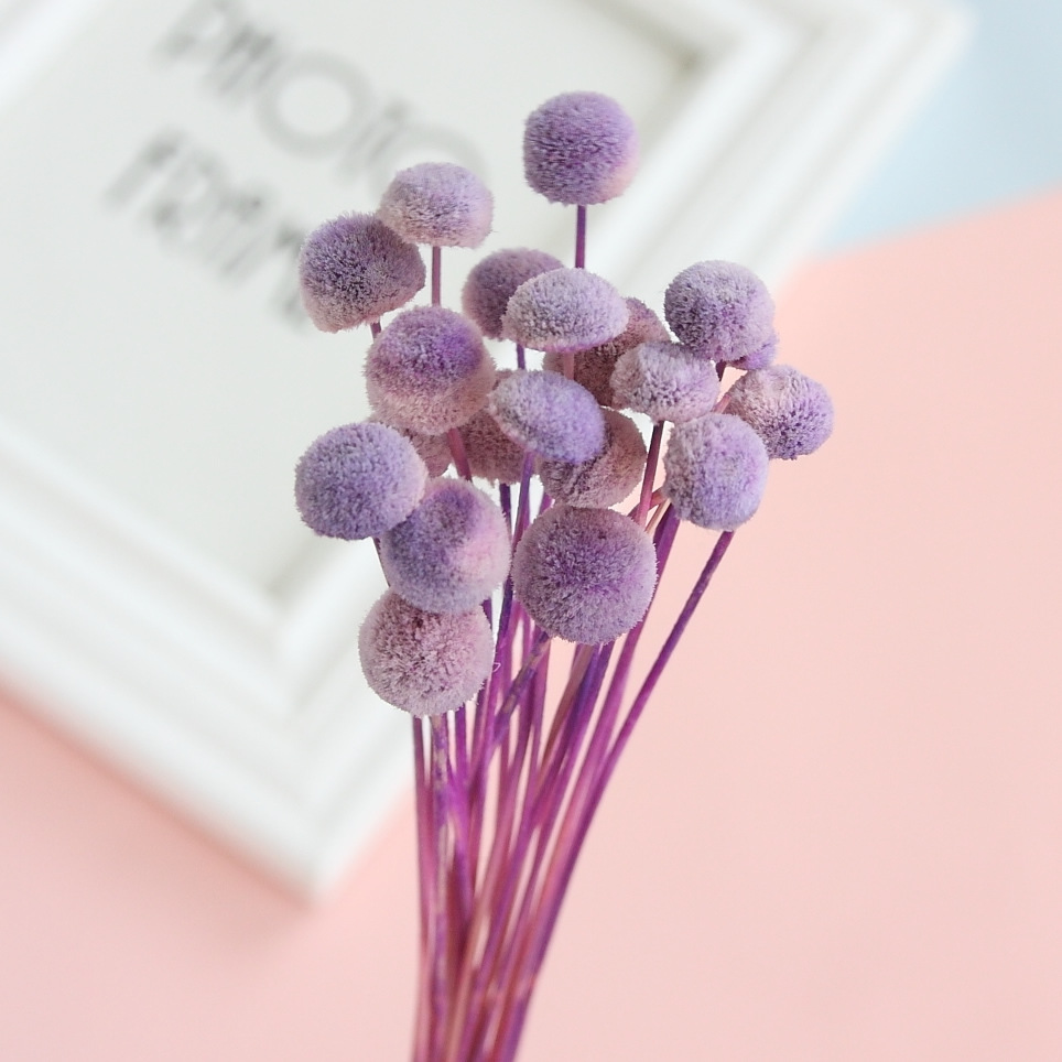 High quality dried flower button chrysanthemum eternal gift box material home flower arrangement photo props wedding decoration background, White
High quality dried flower button chrysanthemum eternal gift box material home flower arrangement photo props wedding decoration background, White