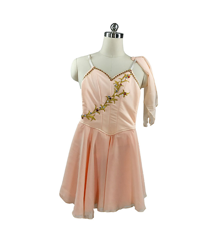 Cupid Variation Professional Ballet Costume Peach Chiffon Ballet Solo Attire Diana And Acteon Variation Ballet Dress for Girls competition
Cupid Variation Professional Ballet Costume Peach Chiffon Ballet Solo Attire Diana And Acteon Variation Ballet Dress for Girls competition