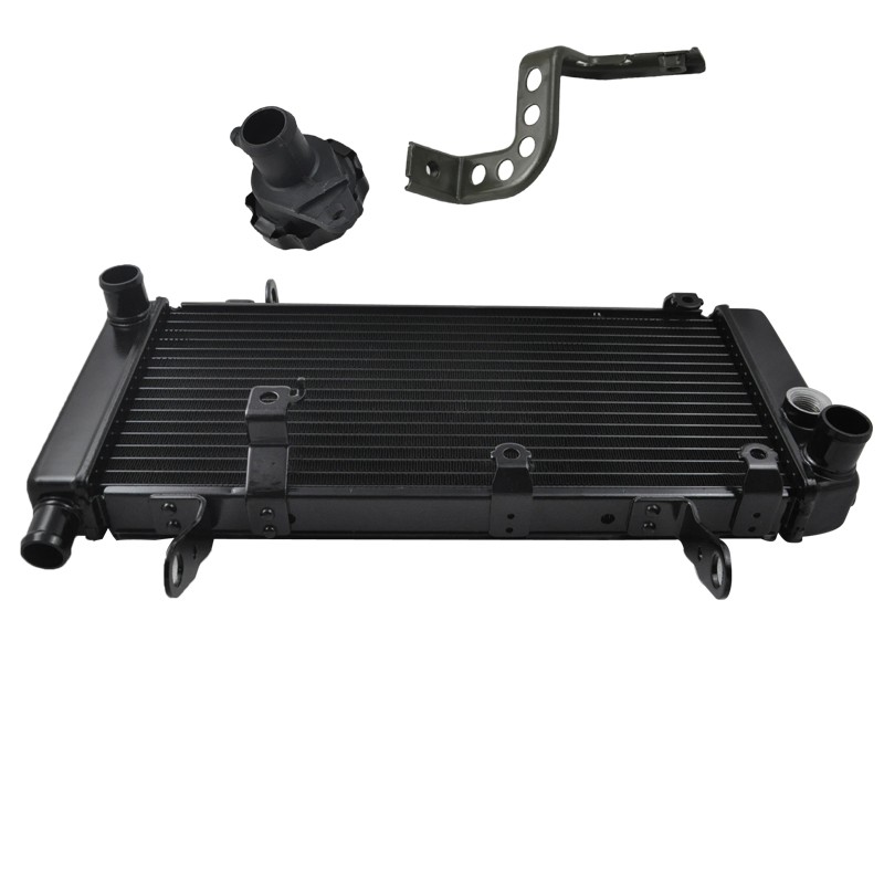For SV1000 SV1000S SV 1000 S 2003-2008 Motorcycle Engine Radiator Motor Bike Aluminium Replace Parts Cooler
For SV1000 SV1000S SV 1000 S 2003-2008 Motorcycle Engine Radiator Motor Bike Aluminium Replace Parts Cooler