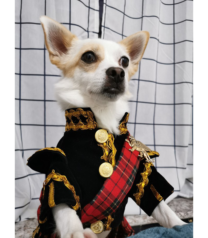 Free shipping handmade dog clothes Scottish plaid the royal style velvet uniform pet tuxedo suit cats poodle Maltese, Black
Free shipping handmade dog clothes Scottish plaid the royal style velvet uniform pet tuxedo suit cats poodle Maltese, Black
