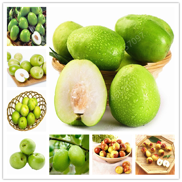 20 pcs/lot Hot Selling Big Chinese Winter Jujube seeds Honey Sweet Dates Fruit Tree Bonsai Plant DIY Home Garden sementes
20 pcs/lot Hot Selling Big Chinese Winter Jujube seeds Honey Sweet Dates Fruit Tree Bonsai Plant DIY Home Garden sementes