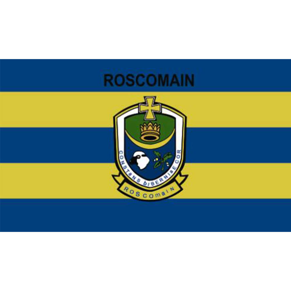 County Roscommon flag Irish State County Flag 3x5FT banner 100D 150X90CM Polyester brass grommets custom flag, Free Shipping
County Roscommon flag Irish State County Flag 3x5FT banner 100D 150X90CM Polyester brass grommets custom flag, Free Shipping