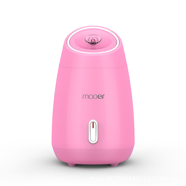 Fruit Vegetable Facial Face Steamer Household Spa Beauty Instrument Spray Water Meter Face Humidification Beauty Tool