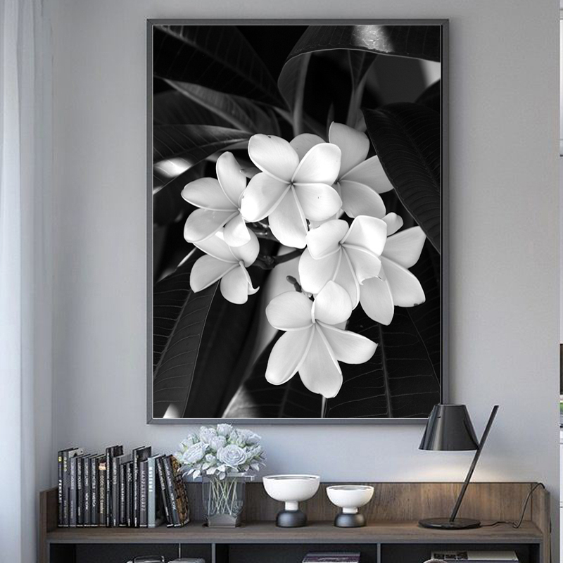5D Diy Full Diamond Embroidery Black and white flowers mosaic Rhinestones Cross Stitch Kits diamond art paintingsZP-894
5D Diy Full Diamond Embroidery Black and white flowers mosaic Rhinestones Cross Stitch Kits diamond art paintingsZP-894