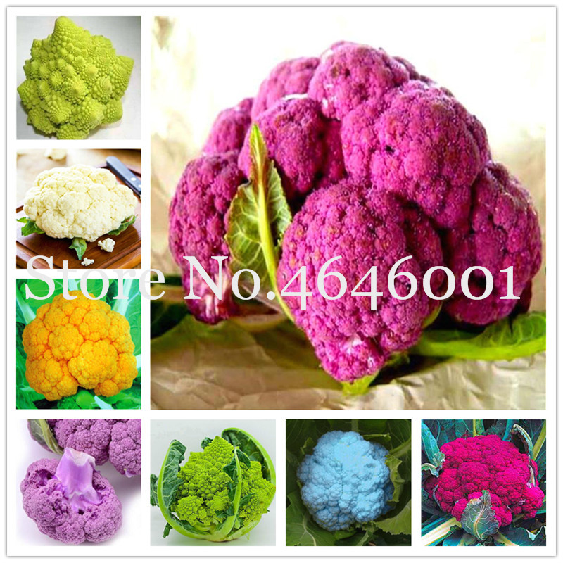 Sale! 200 Pcs Broccoli Seeds Bonsai Vegetable Bonsai 95%+ Germination Non-GMO Heirloom High-Quality Vegetable Bonsai For Home Garden
Sale! 200 Pcs Broccoli Seeds Bonsai Vegetable Bonsai 95%+ Germination Non-GMO Heirloom High-Quality Vegetable Bonsai For Home Garden