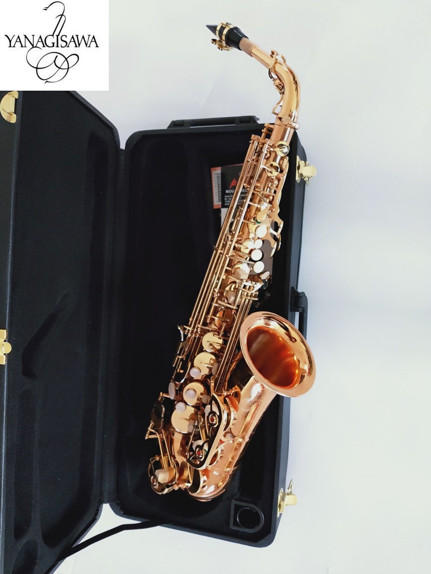Brand New YANAGISAWA Alto Saxophone WO20 Gold Lacquer Sax Professional Mouthpiece Patches Pads Reeds Bend Neck
Brand New YANAGISAWA Alto Saxophone WO20 Gold Lacquer Sax Professional Mouthpiece Patches Pads Reeds Bend Neck