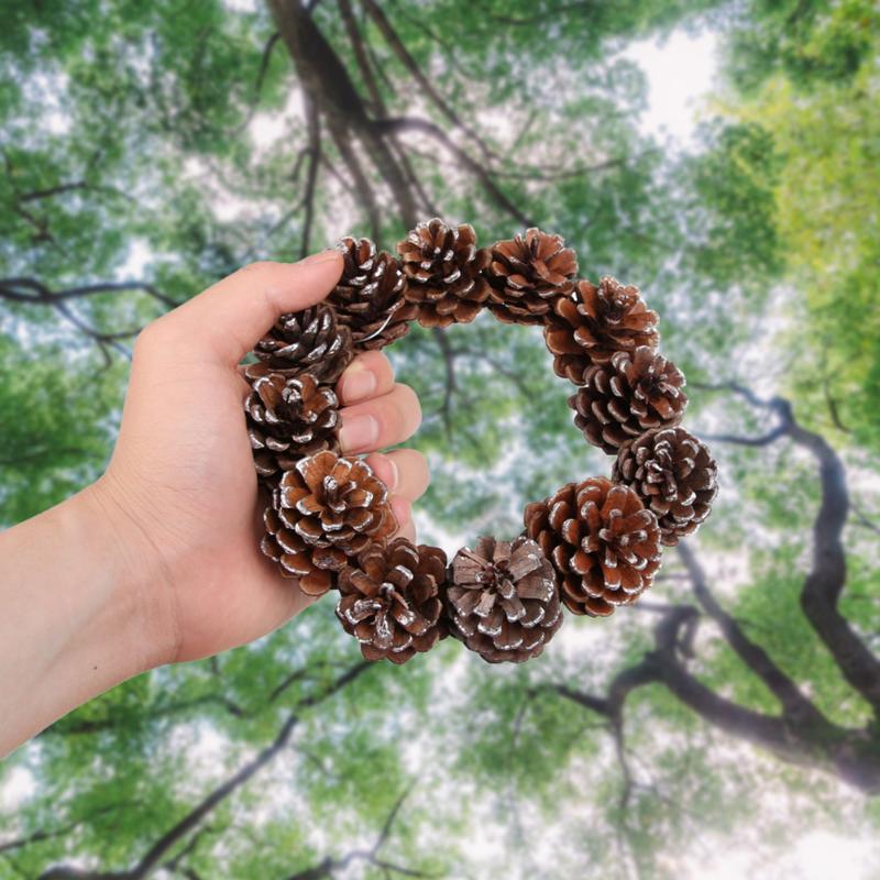 Natural Dry Rattan Ring Christmas Wreath DIY Xmas Ornament Wedding Decorative Hanging Flower Rattan Garland Wreath for Home, A2
Natural Dry Rattan Ring Christmas Wreath DIY Xmas Ornament Wedding Decorative Hanging Flower Rattan Garland Wreath for Home, A2