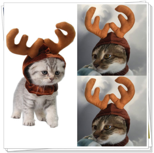 New Cute Pet Cat Dog Cap Parrty Cosplay Hat For Puppy Teddy Animal Shapeshift Christmas Reindeer Costume
New Cute Pet Cat Dog Cap Parrty Cosplay Hat For Puppy Teddy Animal Shapeshift Christmas Reindeer Costume