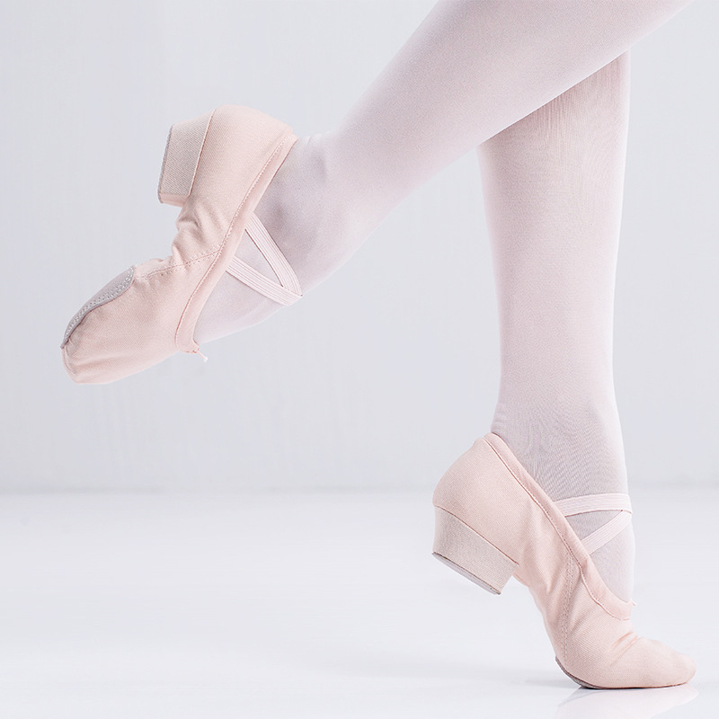 Dance Shoes Girls Canvas Ballet Adult Practice Shoes Canvas Low-Heeled Teacher Dance Shoes