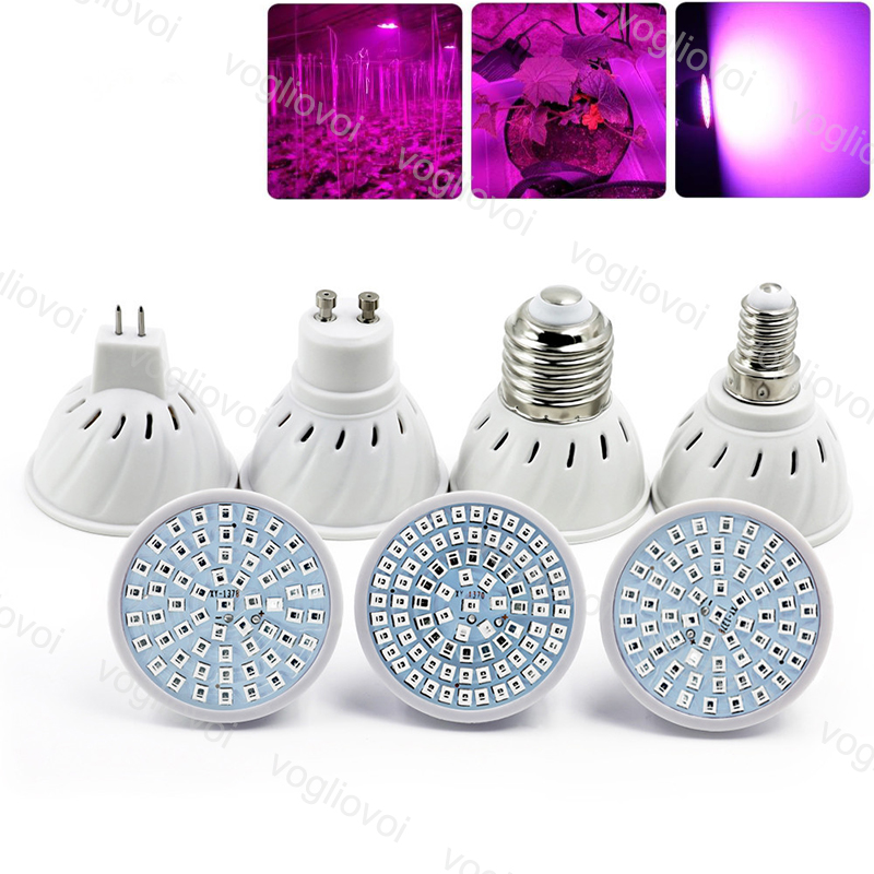 LED Bulbs Full Spectrum Spotlight Plastic SMD2835 48 60 80LED 110V 220V GU10 E14 E27 For IndoorPhyto Hydroponic Growth Light EUB
LED Bulbs Full Spectrum Spotlight Plastic SMD2835 48 60 80LED 110V 220V GU10 E14 E27 For IndoorPhyto Hydroponic Growth Light EUB
