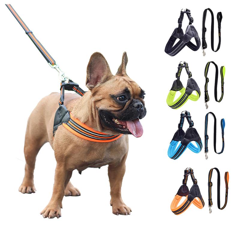 Durable Pet Dog Collar Harness Leash for Dog Soft Walking Harness Lead Colorful and Durable Traction Pet Rope Seat Belts
Durable Pet Dog Collar Harness Leash for Dog Soft Walking Harness Lead Colorful and Durable Traction Pet Rope Seat Belts