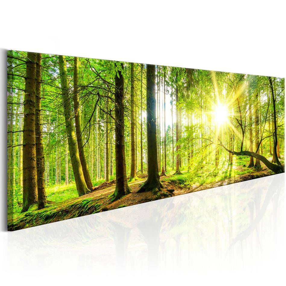 (NO Frame)Beautiful HD Modern Home Wall Decor Abstract Canvas Print Oil Painting Wall Art Picture House Decoration Posters