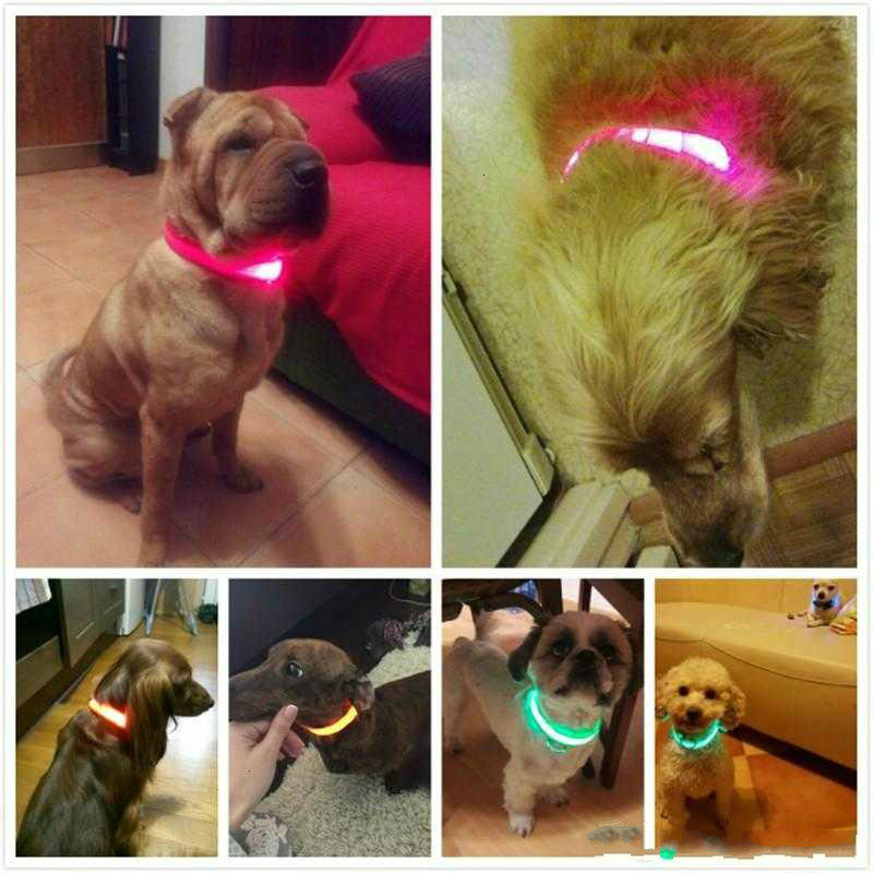 Dog collar Nylon LED Pet Dog Collar Night Safety Flashing Glow In The Dark Dog Leash Dogs Luminous Fluorescent Collars Pet Supplies