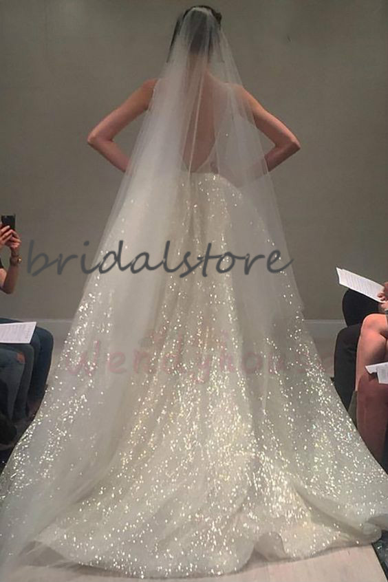 Sparkle Shiny Sequin Wedding Dresses Sexy V Neck Backless Church Wedding Gowns Bling Party Show Bridal Gowns Sleeveless Boho Wedding Dresss