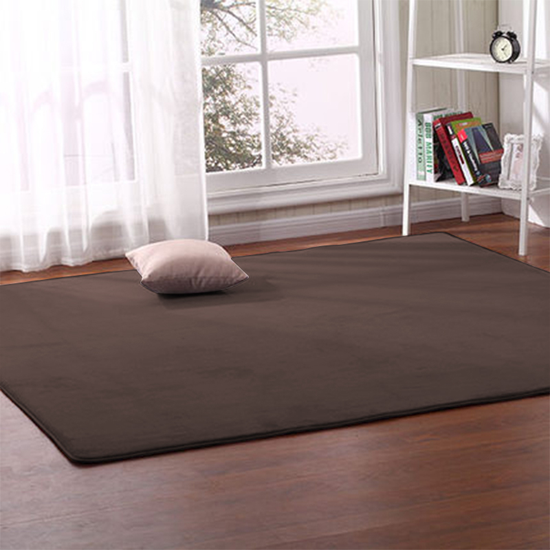 Nordic simple coral velvet solid color carpet living room coffee table blanket bedroom bedside blanket Thick coral fleece rug
Nordic simple coral velvet solid color carpet living room coffee table blanket bedroom bedside blanket Thick coral fleece rug