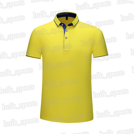 2656 Sports polo Ventilation Quick-drying Hot sales Top quality men 201d T9 Short sleeve-shirt comfortable new style jersey16544224100, Brown
2656 Sports polo Ventilation Quick-drying Hot sales Top quality men 201d T9 Short sleeve-shirt comfortable new style jersey16544224100, Brown