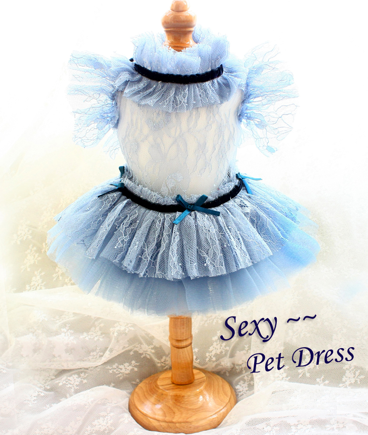 handmade dog apparel sexy higher-ups senior haze blue Hollow out Bud silk Soft yarn Princess dress clothes cat pet tutu
handmade dog apparel sexy higher-ups senior haze blue Hollow out Bud silk Soft yarn Princess dress clothes cat pet tutu