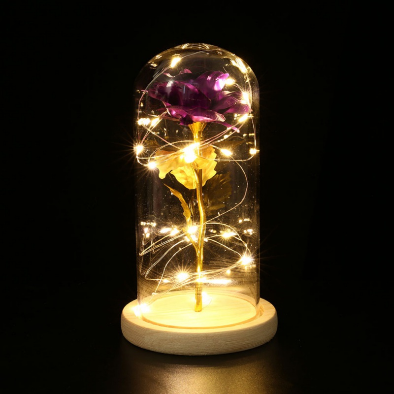 Gold Foil The Best Valentine's Day Gift Artificial Rose Flower And LED Light String In Glass Dome On Wooden Base For Women
Gold Foil The Best Valentine's Day Gift Artificial Rose Flower And LED Light String In Glass Dome On Wooden Base For Women