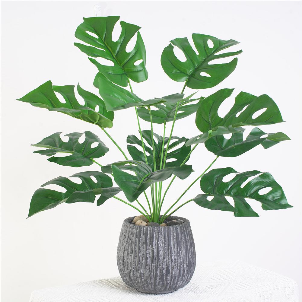 Simulation of Porous Turtles 12 Heads Medium and Large Simulation Green Plants Monstera Nordic Simple Wind Plant Walls
Simulation of Porous Turtles 12 Heads Medium and Large Simulation Green Plants Monstera Nordic Simple Wind Plant Walls