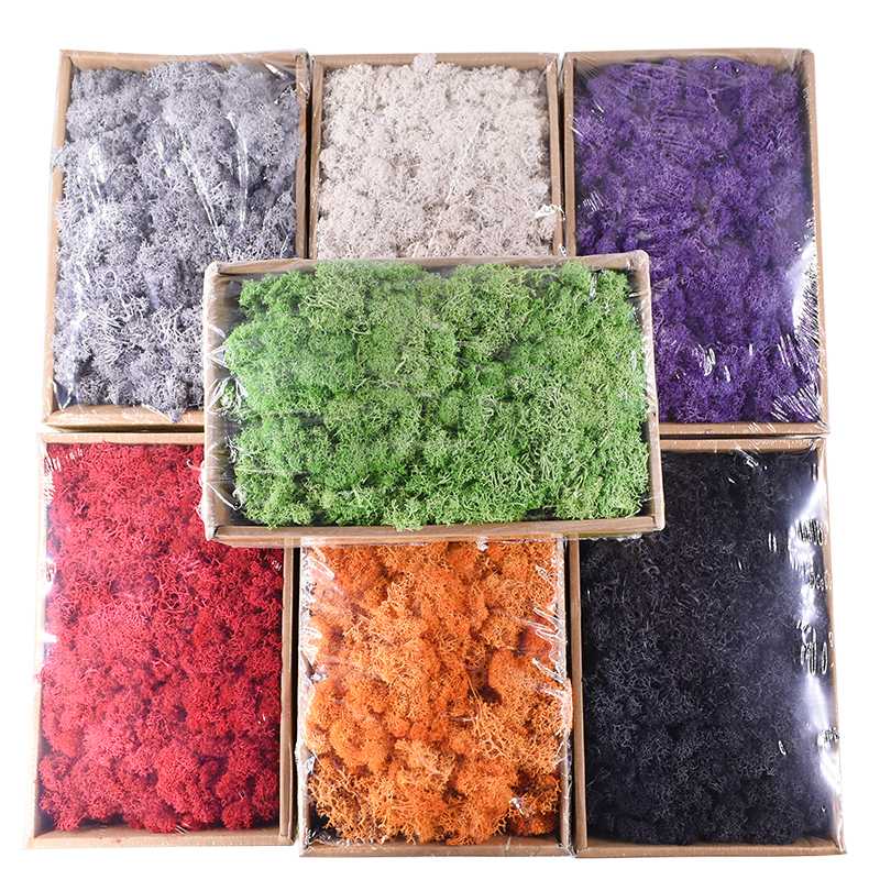 20/40g Artificial Plant Eternal Life Moss DIY Home Wall Garden Ornament Micro Landscape Accessories Fake Plant Flowers Decorates, B10
20/40g Artificial Plant Eternal Life Moss DIY Home Wall Garden Ornament Micro Landscape Accessories Fake Plant Flowers Decorates, B10