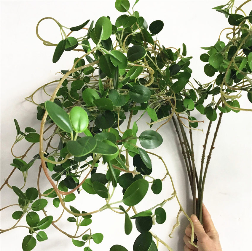 6Pcs real touch wall hanging Ficus tree branches plastic Artificial plants green leaves wedding decoration faux foliage flores
6Pcs real touch wall hanging Ficus tree branches plastic Artificial plants green leaves wedding decoration faux foliage flores