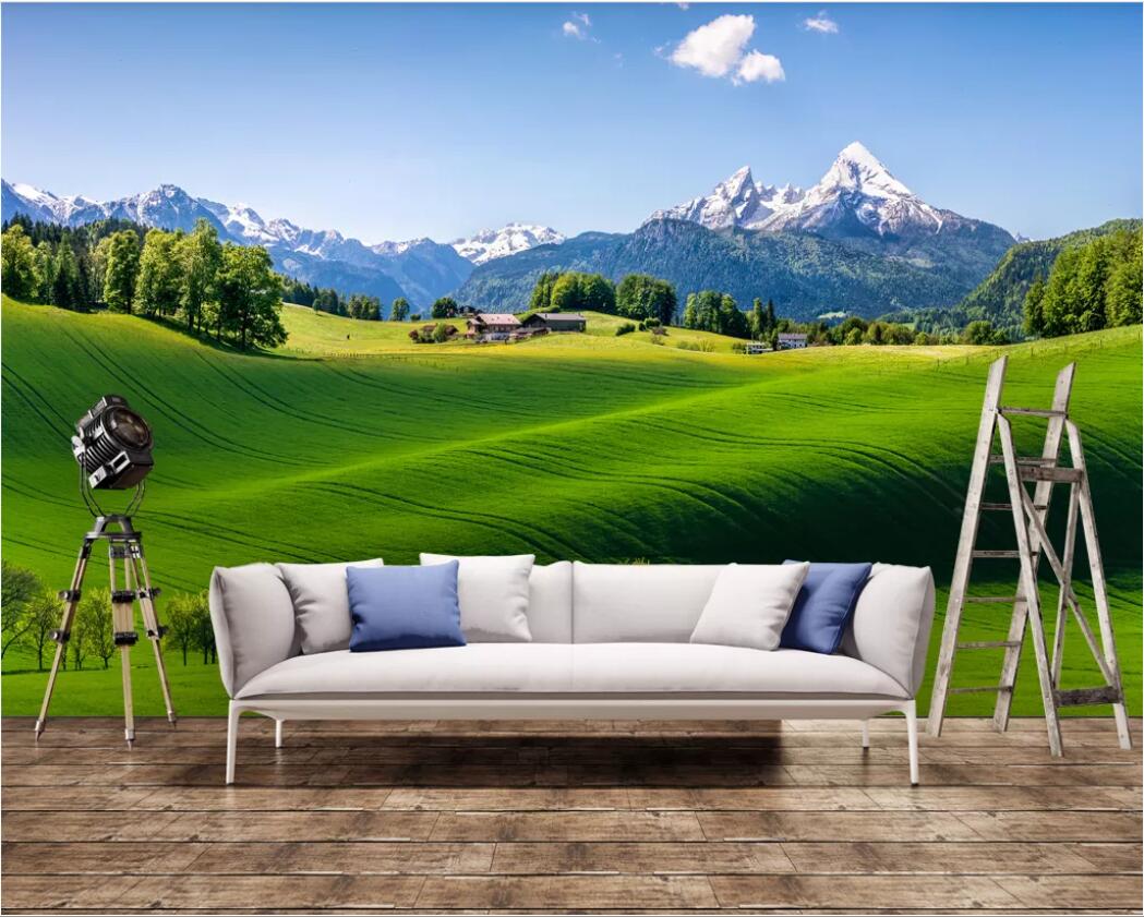 3d room wallpaper custom photo mural Fresh green rural scenery background wall decoration painting art canvas wallpaper for walls 3 d, Non-woven fabric
3d room wallpaper custom photo mural Fresh green rural scenery background wall decoration painting art canvas wallpaper for walls 3 d, Non-woven fabric
