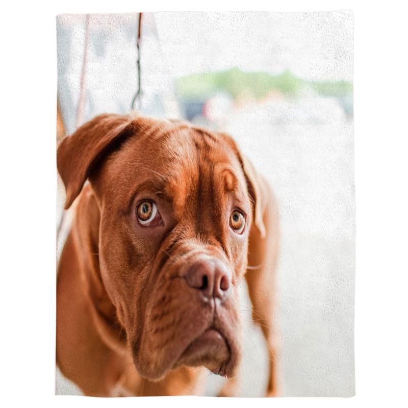 Cute Brown Dog Pet Spring and Autumn Soft Flannel Blanket Office Siesta Blanket Sofa Bed
Cute Brown Dog Pet Spring and Autumn Soft Flannel Blanket Office Siesta Blanket Sofa Bed