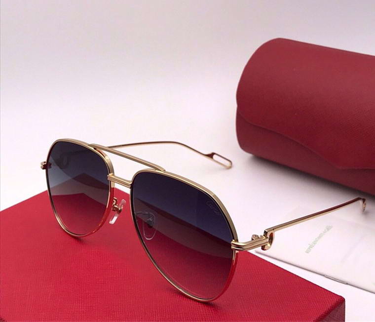 ct0110S Gold Grey SHaded Pilot Sunglasses Metal Gold Frame Sun Glasses men Sunglasses Shades New with Box
ct0110S Gold Grey SHaded Pilot Sunglasses Metal Gold Frame Sun Glasses men Sunglasses Shades New with Box