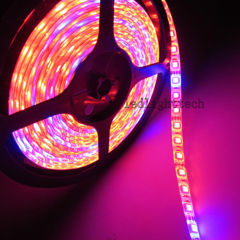 5M LED Phyto Lamps Full Spectrum LED Strip Light 300 LEDs 5050 Chip Fitolampy Grow Lights For Greenhouse Hydroponic plant
5M LED Phyto Lamps Full Spectrum LED Strip Light 300 LEDs 5050 Chip Fitolampy Grow Lights For Greenhouse Hydroponic plant