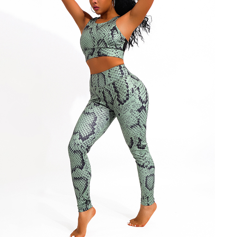 Women' Sexy Serpentine Yoga Sports Suit Fitness Leggings Running Gym Set Slim Optional Size High Elastic, Green
Women' Sexy Serpentine Yoga Sports Suit Fitness Leggings Running Gym Set Slim Optional Size High Elastic, Green