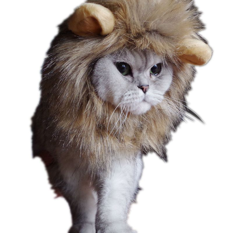 High Quality Funny Cute Pet Costume Cosplay Lion Mane Wig Cap Hat for Cat Halloween Clothes Fancy Dress With Ears Autumn Winter