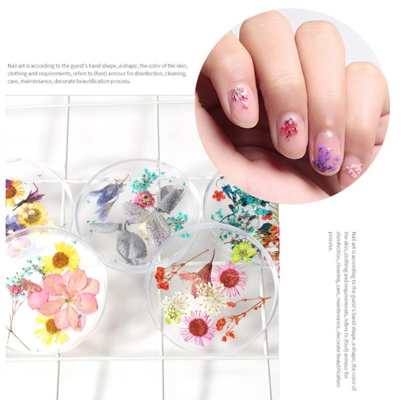3d Beautiful Flower Nail Art Decoration Mixed Dried Flowers Nail Art Diy Bottle Manicure Tips Decoration Floral Leaf Mixed Dry
3d Beautiful Flower Nail Art Decoration Mixed Dried Flowers Nail Art Diy Bottle Manicure Tips Decoration Floral Leaf Mixed Dry