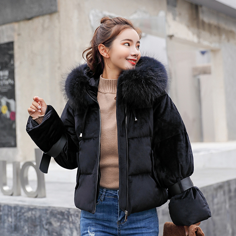 Womens Winter Coat Fashion Women Winter Jacket Woman Winter Coat Pure Salad Zipper Cap Cotton Coat with 4 Colors, Pink
Womens Winter Coat Fashion Women Winter Jacket Woman Winter Coat Pure Salad Zipper Cap Cotton Coat with 4 Colors, Pink