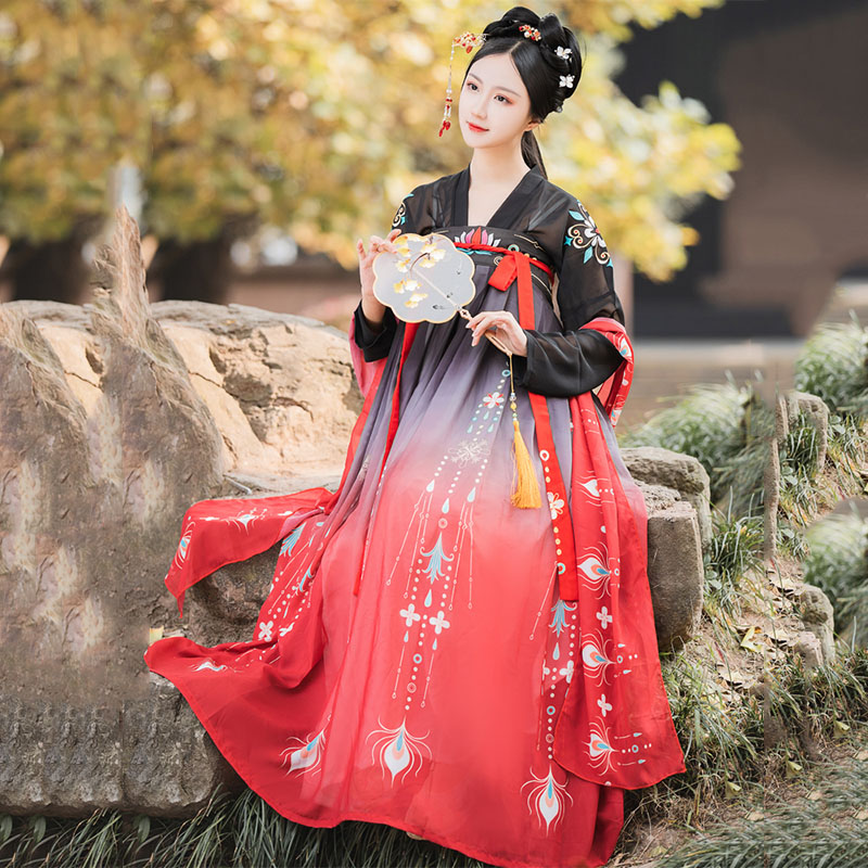 Embroidered Hanfu Women Singers Dance Costumes Traditional Fairy Dress Folk Festival Outfit Rave Performance Clothing DC3764, Black 3m set
Embroidered Hanfu Women Singers Dance Costumes Traditional Fairy Dress Folk Festival Outfit Rave Performance Clothing DC3764, Black 3m set