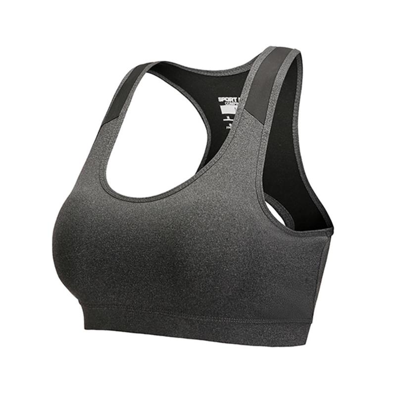 Breathable Sports Bra High Stretch Breathable Shockproof Padded Top Fitness Running Yoga Gym Seamless Crop Bra Dropship Hot, Bh
Breathable Sports Bra High Stretch Breathable Shockproof Padded Top Fitness Running Yoga Gym Seamless Crop Bra Dropship Hot, Bh