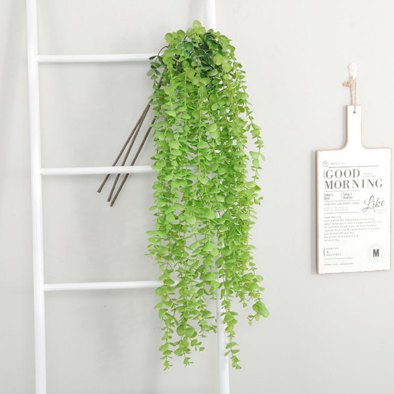 Ins Style Eucalyptus Leaf Simulation Plant Nordic Round Leaf Plastic Flower Money Indoor Wall Hanging Home Decoration, Deep sapphire
Ins Style Eucalyptus Leaf Simulation Plant Nordic Round Leaf Plastic Flower Money Indoor Wall Hanging Home Decoration, Deep sapphire