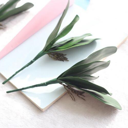 Phalaenopsis leaf artificial plant leaf decorative flowers auxiliary material flower decoration Orchid leaves GB150
Phalaenopsis leaf artificial plant leaf decorative flowers auxiliary material flower decoration Orchid leaves GB150