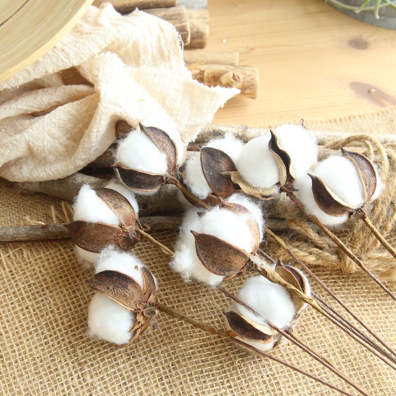 Artificial Plant Natural Cotton Flower Head Dry Flowers Home Party Garden Decoration Plant Wall Accessories Photography Props, White
Artificial Plant Natural Cotton Flower Head Dry Flowers Home Party Garden Decoration Plant Wall Accessories Photography Props, White