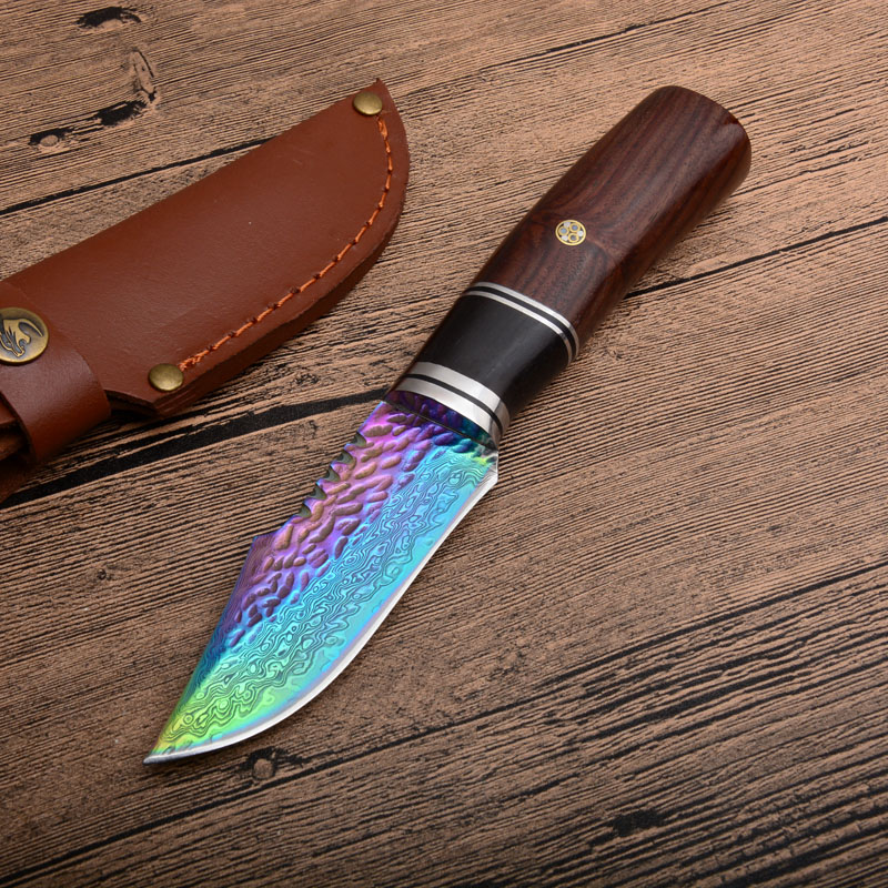Damascus Hunting Knife VG10-Damascus Steel Colorful Titanium Coated Blade Wood Handle Outdoor Survival Straight Knives
Damascus Hunting Knife VG10-Damascus Steel Colorful Titanium Coated Blade Wood Handle Outdoor Survival Straight Knives