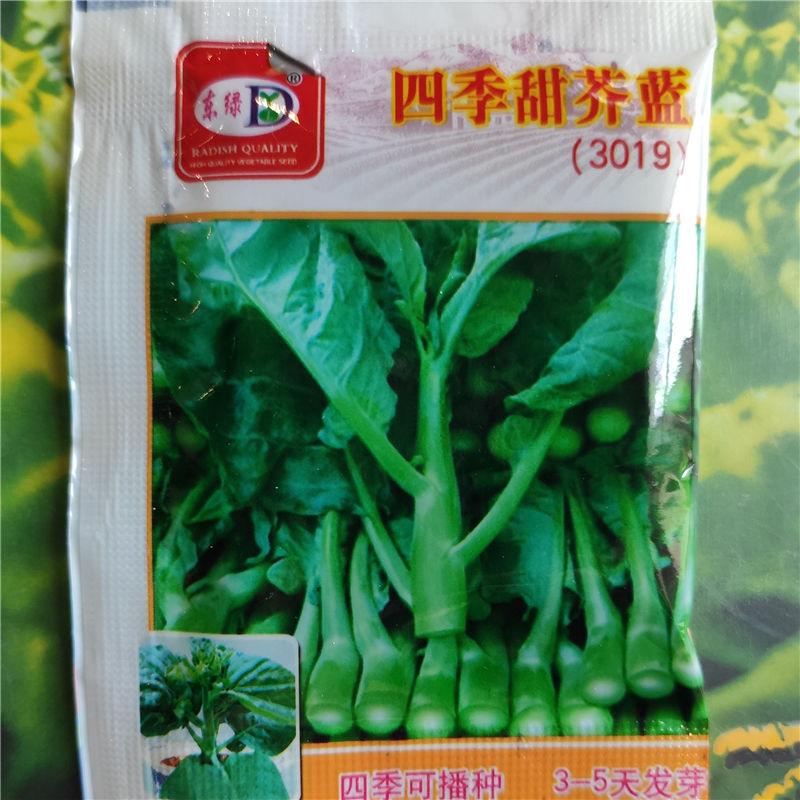 1 pack Original package Chinese Kale Potted vegetables bonsai plant vegetables seeds Chinese Kale NO122
1 pack Original package Chinese Kale Potted vegetables bonsai plant vegetables seeds Chinese Kale NO122