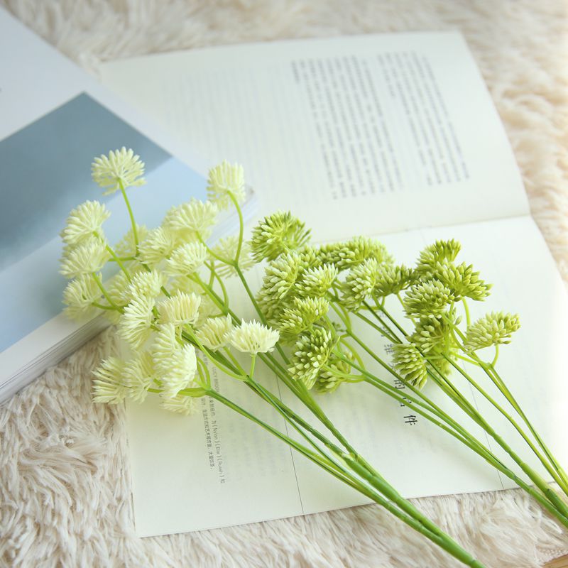 5pcs/lot handmade plastic simulation dandelion flower home decor wedding hand holding bride fake plastic flower bouquet, Milk white
5pcs/lot handmade plastic simulation dandelion flower home decor wedding hand holding bride fake plastic flower bouquet, Milk white
