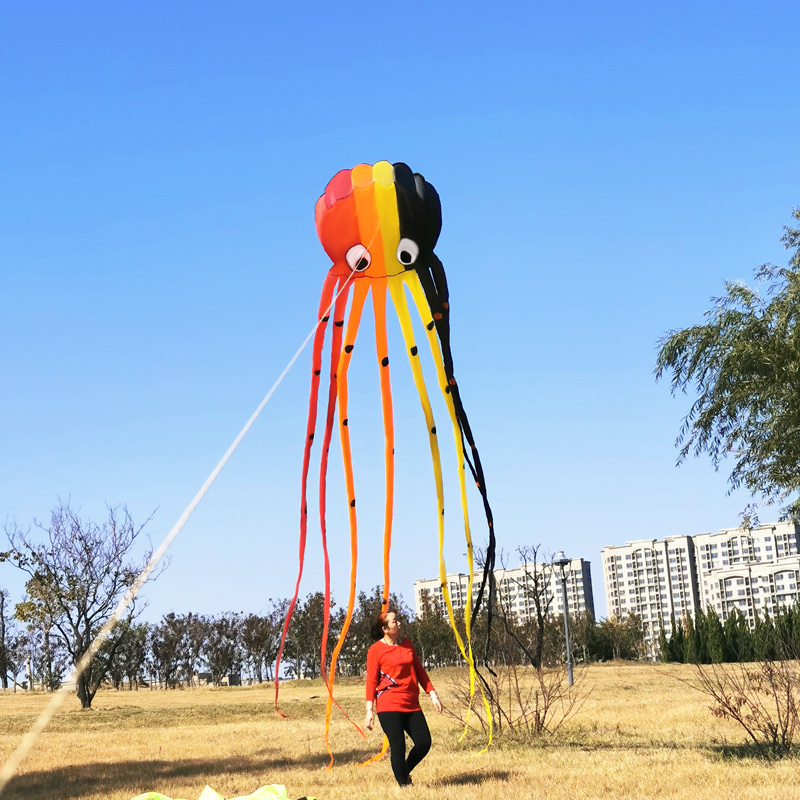 Octopus Kite 3D Kite Cartoon Colorful Skeleton-free Long Tail Easy to fly Beach Kites outdoor sport Play
Octopus Kite 3D Kite Cartoon Colorful Skeleton-free Long Tail Easy to fly Beach Kites outdoor sport Play