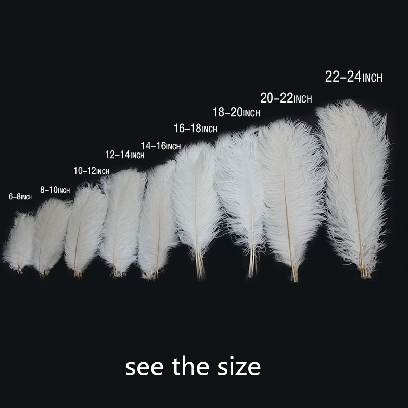 10PCS white ostrich feathers 1575cm for craft wedding party supplies carnival dancer decoration plumages