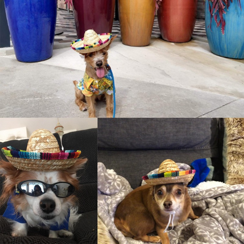 Pet Woven Straw Hat Costume for Dogs Adjustable Sun Hat for Small Dogs and Cats to Act Cute